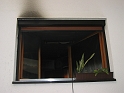 bild (20)